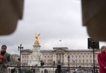 reporters 1200x630.jpg