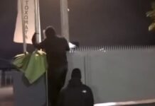 rouvikwnas violanta 1200x630.jpg