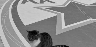 screenshot 2026 02 06 181204 1200x630.png