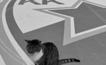 screenshot 2026 02 06 181204 1200x630.png