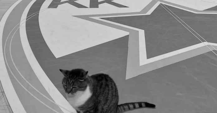 screenshot 2026 02 06 181204 1200x630.png