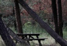 seix sou ape 1200x630.jpg