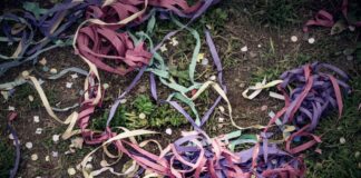 serpantines 1200x630.jpg