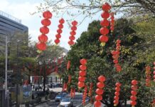 shenzhen 1200x630.jpg