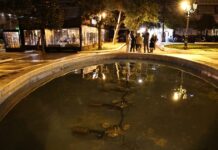 sintrivani 1 1200x630.jpg