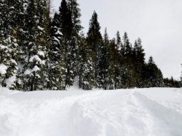 ski xionia vouno reuters 1200x630.jpg