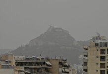 skoni 1 1200x630.jpg