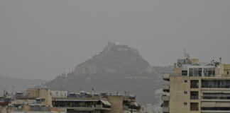 skoni 1 1200x630.jpg