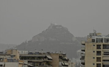 skoni 1 1200x630.jpg