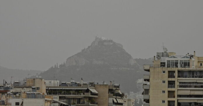 skoni 1 1200x630.jpg