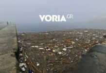 skoupidia thermaikos 1 1200x630.jpg