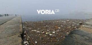 skoupidia thermaikos 1 1200x630.jpg