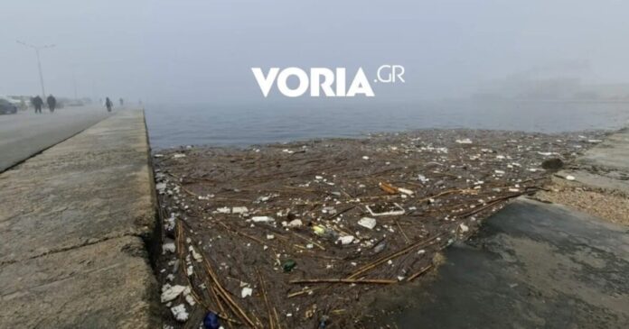 skoupidia thermaikos 1 1200x630.jpg