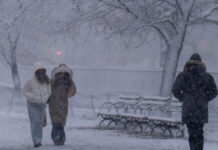 snow ap 1200x630.jpg