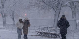 snow ap 1200x630.jpg