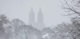 snow new york 3 1200x630.jpg