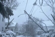 snow usa 1200x630.jpg