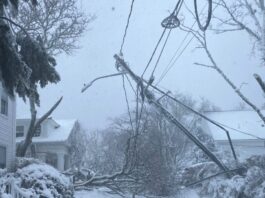 snow usa 1200x630.jpg