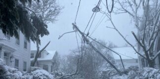 snow usa 1200x630.jpg