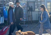 sosias1 1200x630.jpeg