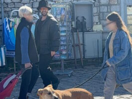 sosias1 1200x630.jpeg