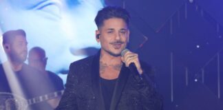 stan ndp 1200x630.jpg