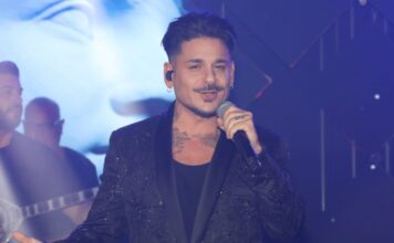 stan ndp 1200x630.jpg