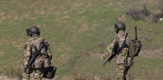 stratiotes eurok 1200x630.jpg