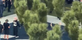 thamnoi 1200x630.jpg