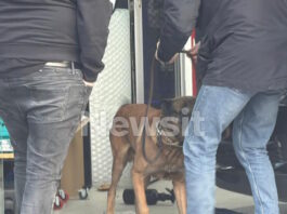 Θεσσαλονίκη: Τηλεφώνημα για βόμβα στην περιοχή της Νέας Ευκαρπίας – Αποδείχθηκε φάρσα thessaloniki 1200x630.jpg