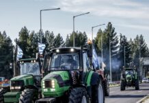 trakter 1200x630.jpg