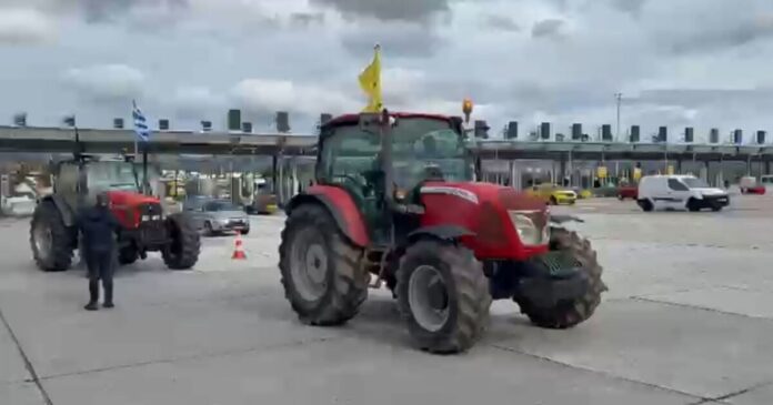 trakterafidnes 1200x630.jpg