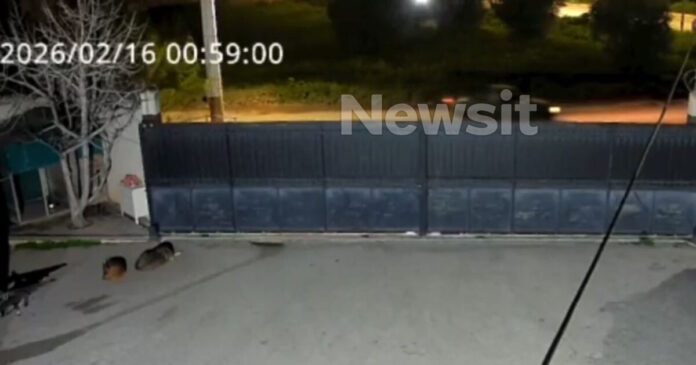 troxaioaspropirgos 1200x630.jpg