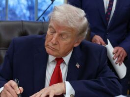 trump 1 1200x630.jpg