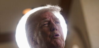 trump 11 1200x630.jpg