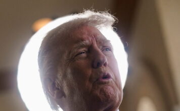 trump 11 1200x630.jpg