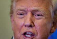 trump 12 1200x630.jpg