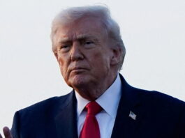 trump 13 1200x630.jpg