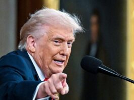 trump 17 1200x630.jpg