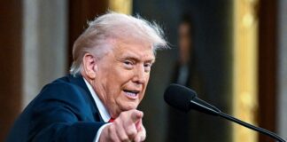 trump 17 1200x630.jpg