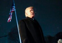 trump 2 1 1200x630.jpg