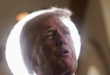 trump 2 1200x630.jpg