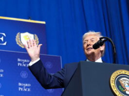 trump 7 1200x630.jpg