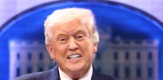 trump 8 1200x630.jpg