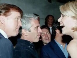 trump epstein 10022026 1200x630.jpg