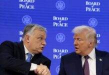 trump orban 1200x630.jpg