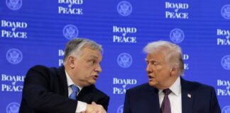 trump orban 1200x630.jpg