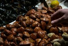 varvakeios psarika eurok 2 1200x630.jpg