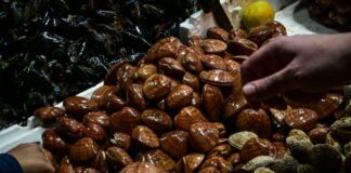 varvakeios psarika eurok 2 1200x630.jpg