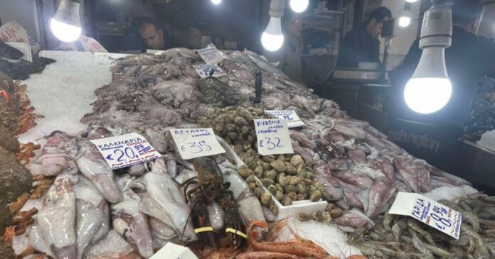 varvakeios554 1200x630.jpeg varvakeios554 1200x630.jpeg